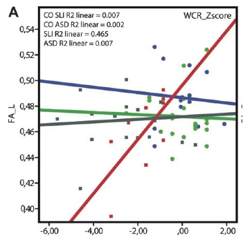 verhoeven-2011-cereb-cortex